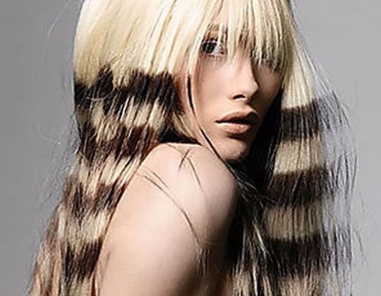 a zebra hairstyle